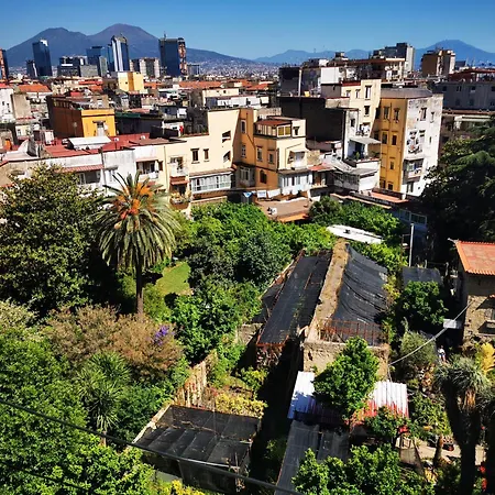 A Cozy Nest With A Vesuvio View 公寓